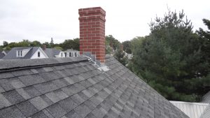 Maine-Wildlife-Management-inspecting-a-ridge-vent-and-chimney-flashing-for-signs-of-bat-entry
