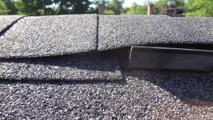 Maine Wildlife Management ridge vent displaying an opening big enough for bats and mice to enter the home