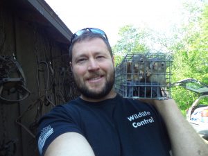 Randy from Maine Wildlife Management taking a quick selfie with the last remaining baby red squirrels before reuniting with their mother