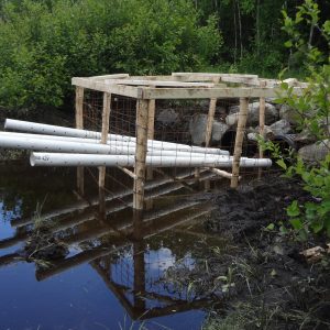 Beaver Deciever in place compliments of Maine Wildlife Management