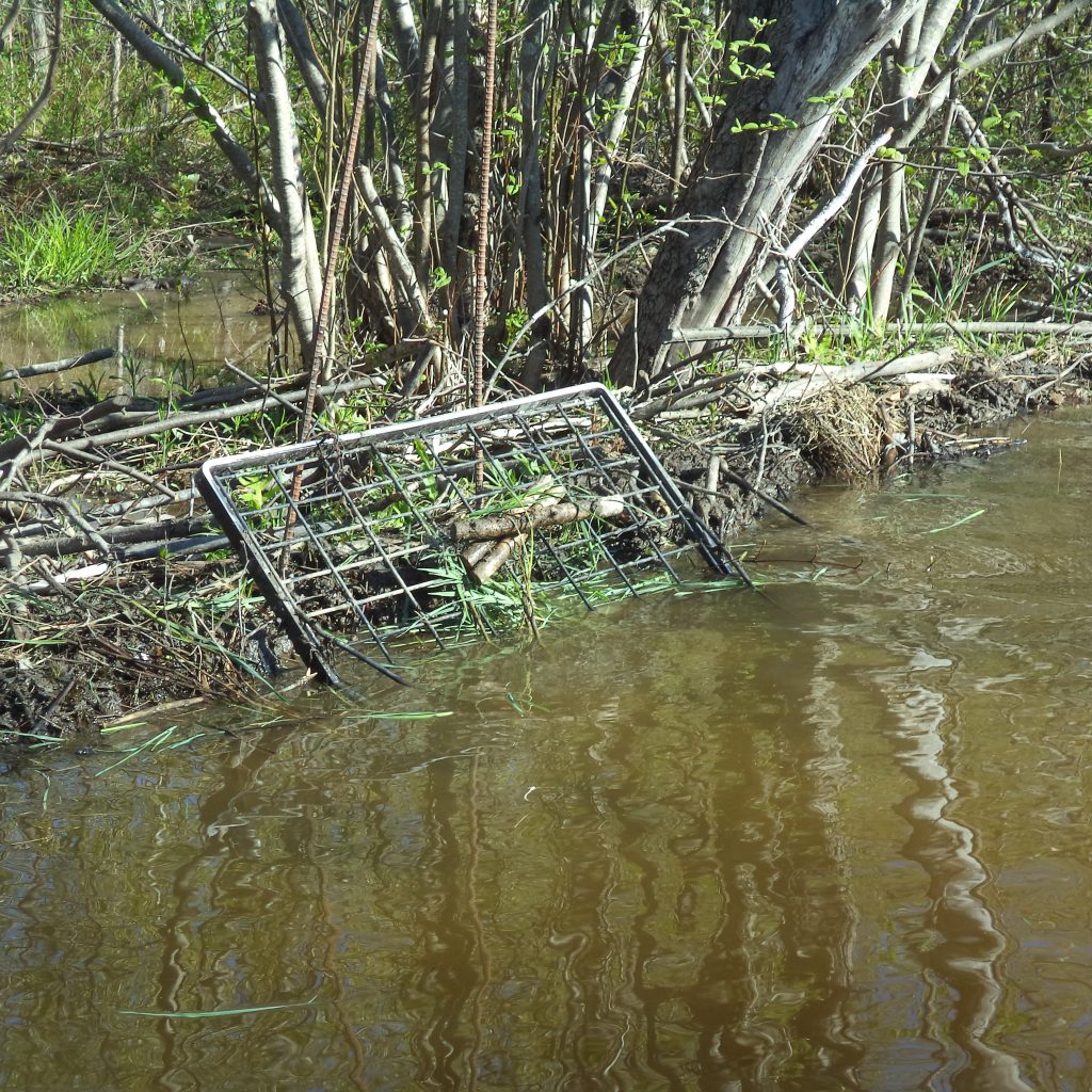 Maine Wildlife Management settign up the live trap for some spring